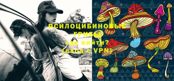 дживик Абинск