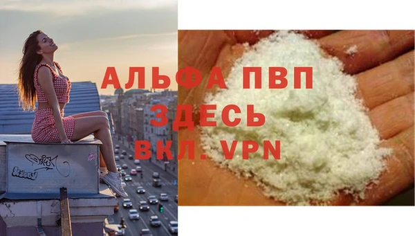 дживик Абинск