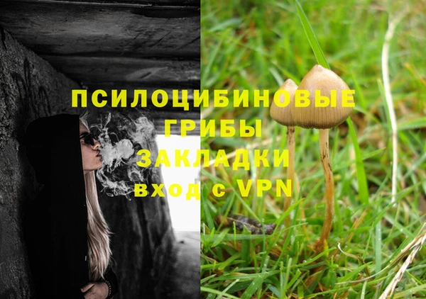СК Всеволожск
